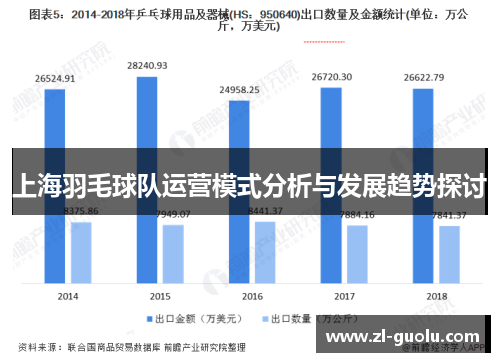 上海羽毛球队运营模式分析与发展趋势探讨