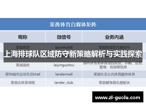 上海排球队区域防守新策略解析与实践探索